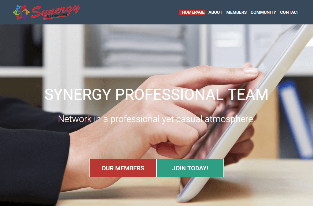 Synergy Networking Team